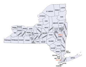 newyork-inmate-search